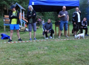 2016-07-04_21-02-10_arka_oboz_wisla