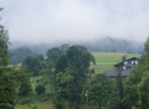 SONY DSC