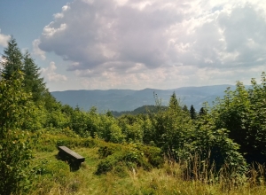 20180710_103359_HDR