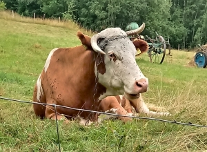 20180717_121222_HDR